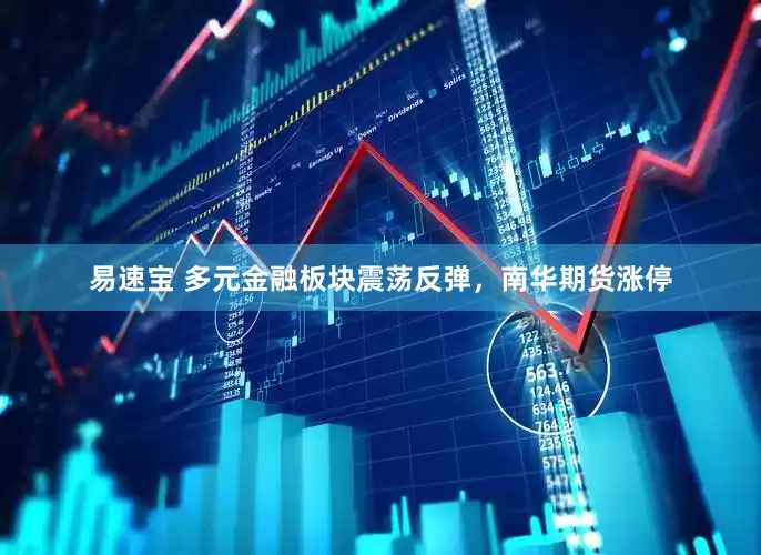易速宝 多元金融板块震荡反弹，南华期货涨停
