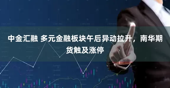 中金汇融 多元金融板块午后异动拉升，南华期货触及涨停