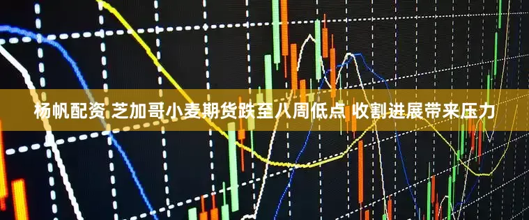 杨帆配资 芝加哥小麦期货跌至八周低点 收割进展带来压力