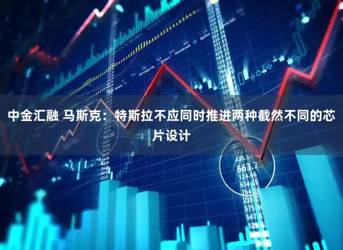 中金汇融 马斯克：特斯拉不应同时推进两种截然不同的芯片设计