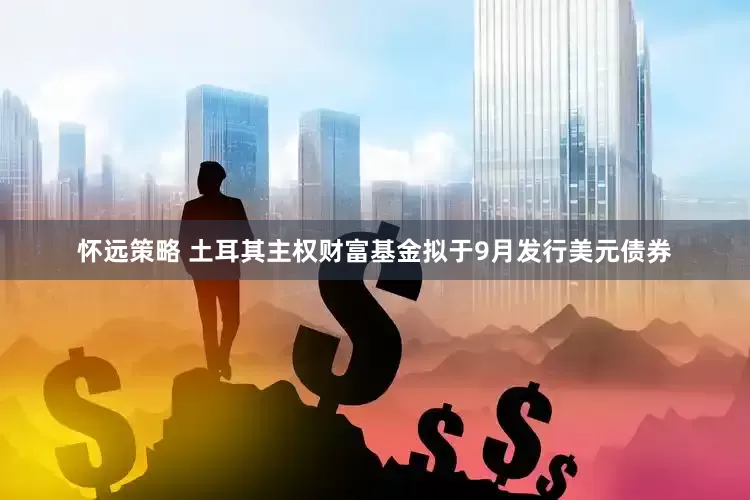 怀远策略 土耳其主权财富基金拟于9月发行美元债券