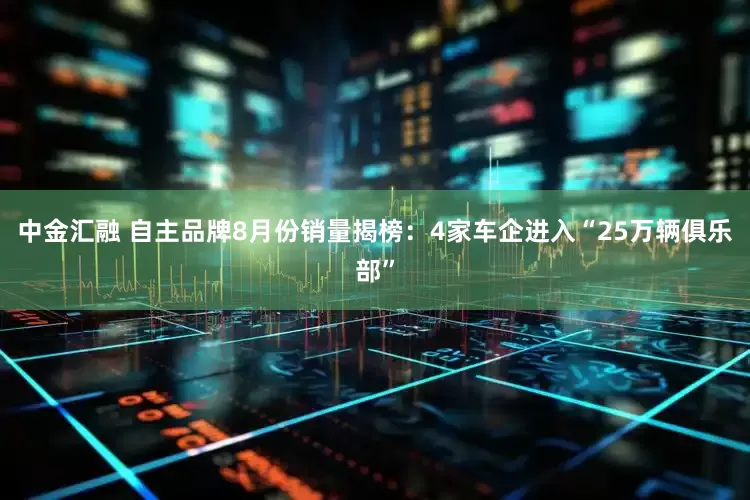 中金汇融 自主品牌8月份销量揭榜：4家车企进入“25万辆俱乐部”